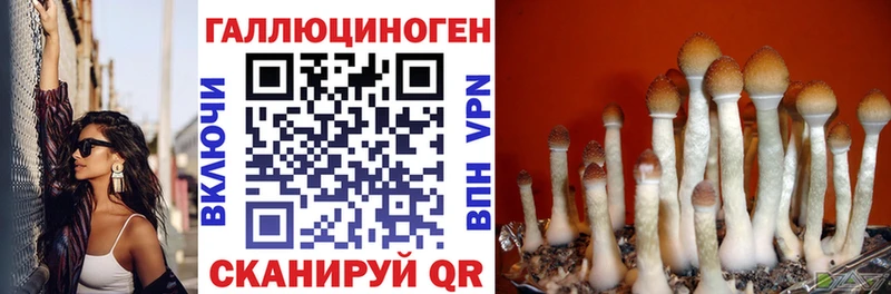 Псилоцибиновые грибы MAGIC MUSHROOMS  Агидель 